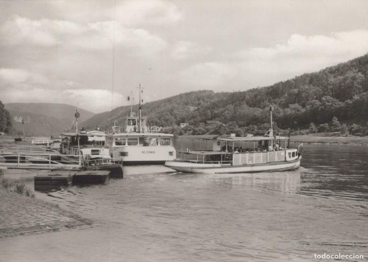 Postais: Germany Bad Schandau Ferry On Elbe River Landscape *YAZ027