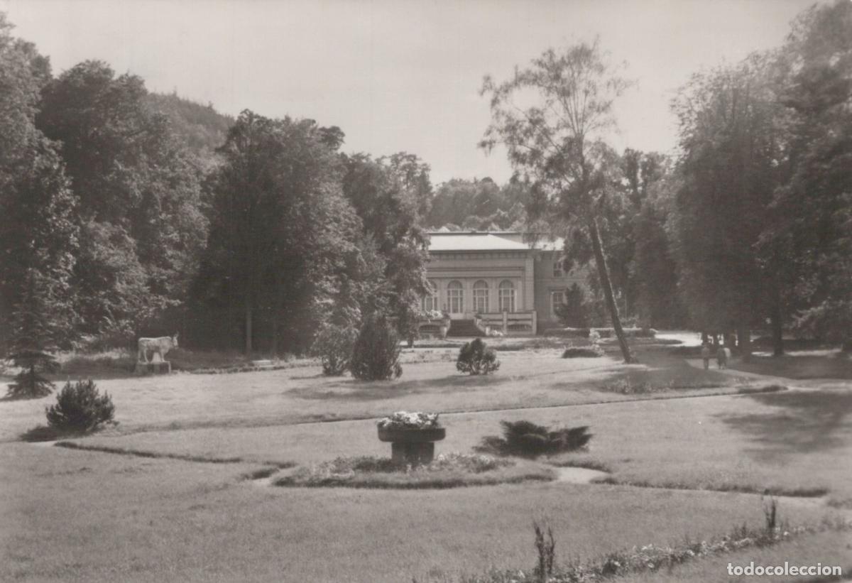Postales: Germany Bad Freienwalde Oder Rheuma Sanatorium und Moorbad Blick zum *YAZ084
