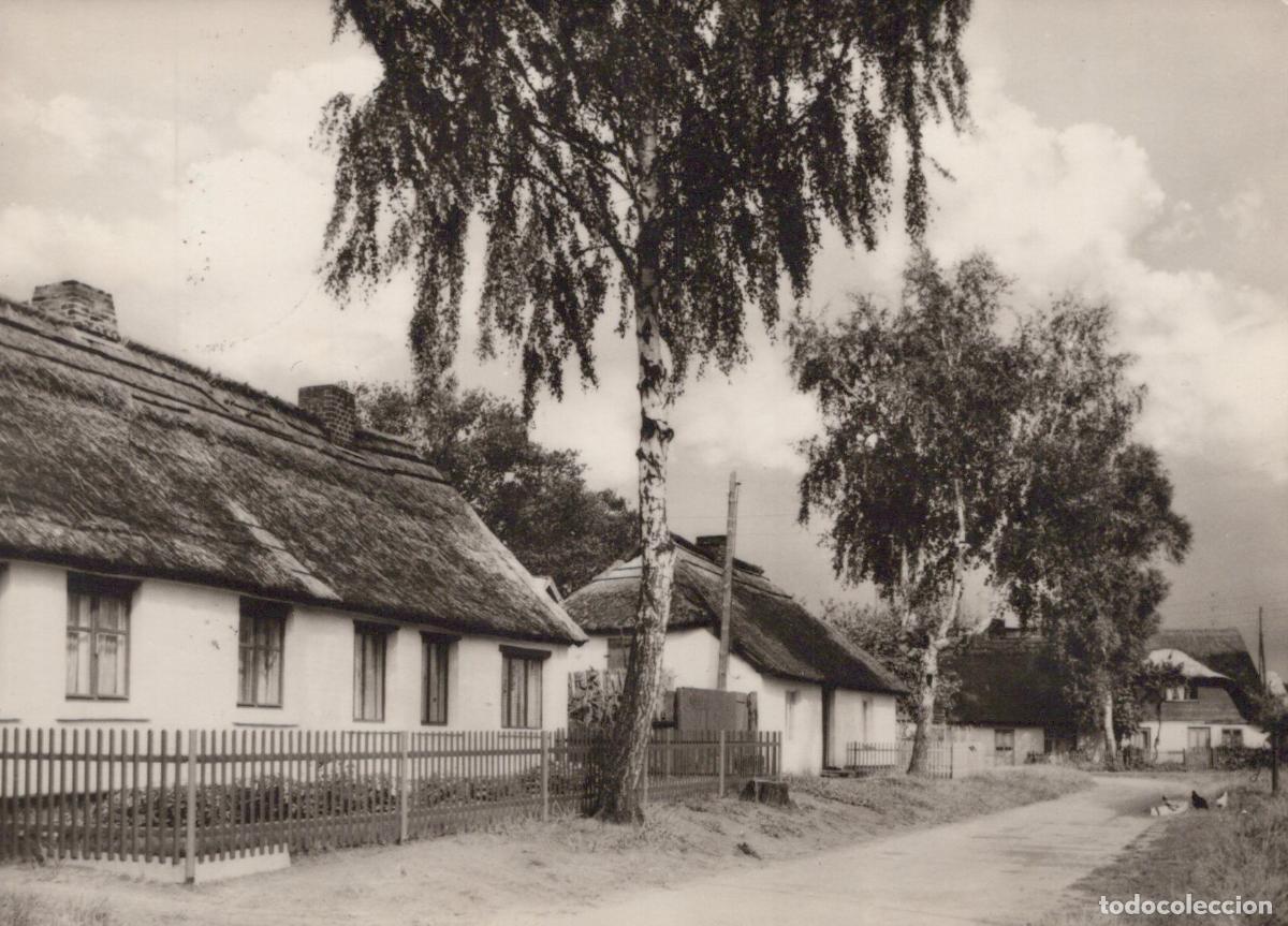 Postales: Germany Usedom Zempin Fishing Houses Achterwasser Thatched Roof Cottages *YAZ210