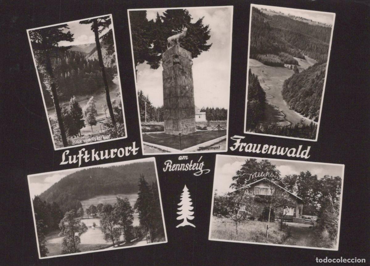 Postcards: Germany Meiningen Frauenwald am Rennsteig Luftkurort Monument and Scenic *YAZ063