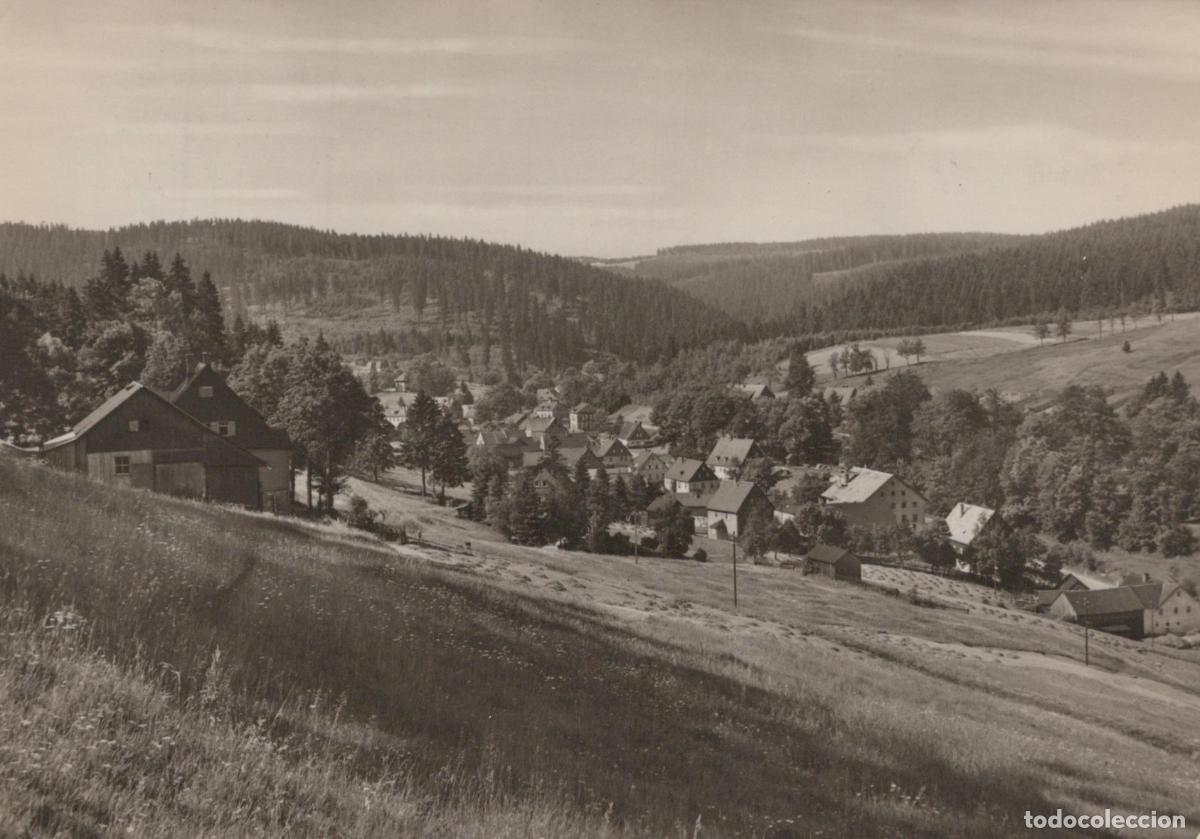 Postcards: Germany Altenberg Wildenthal Erzgeb Rural Village Landscape Forested *YAZ258