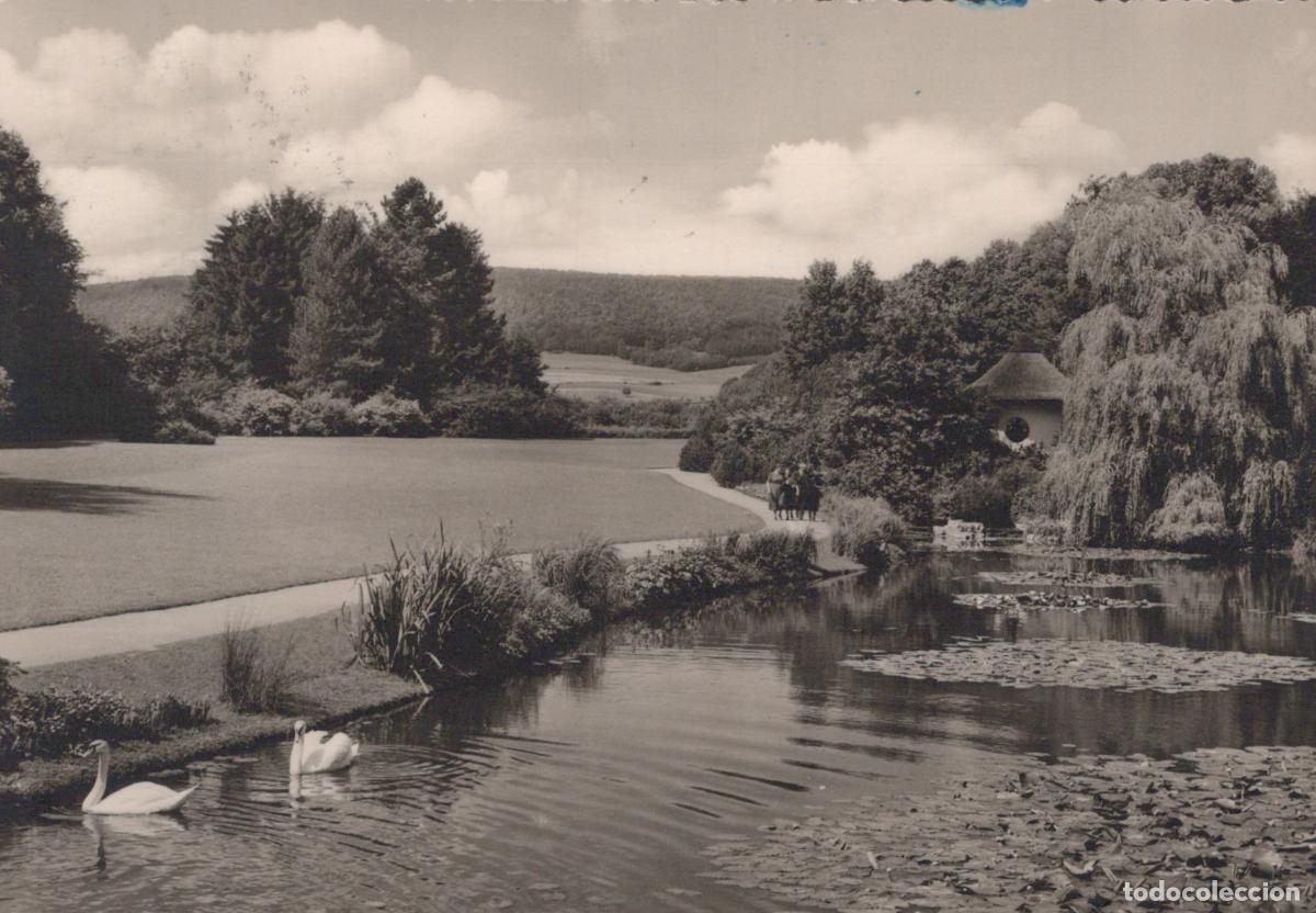 Cartoline: Germany Bad Pyrmont Swans On Lake in Kurpark People On Path *YAZ163