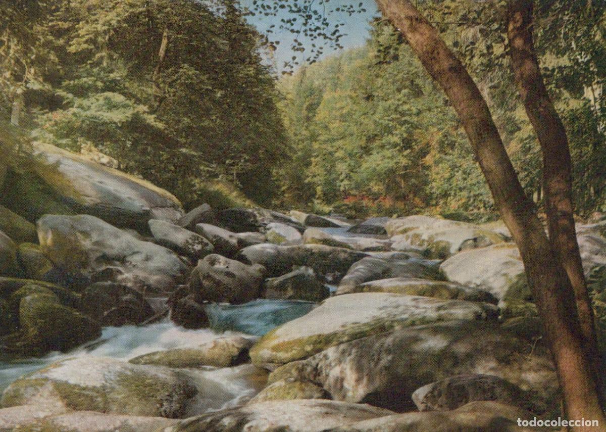 Postales: Germany Marktredwitz Waldnaabtal Butterfa&szlig; Scenic River Unposted *YAZ768
