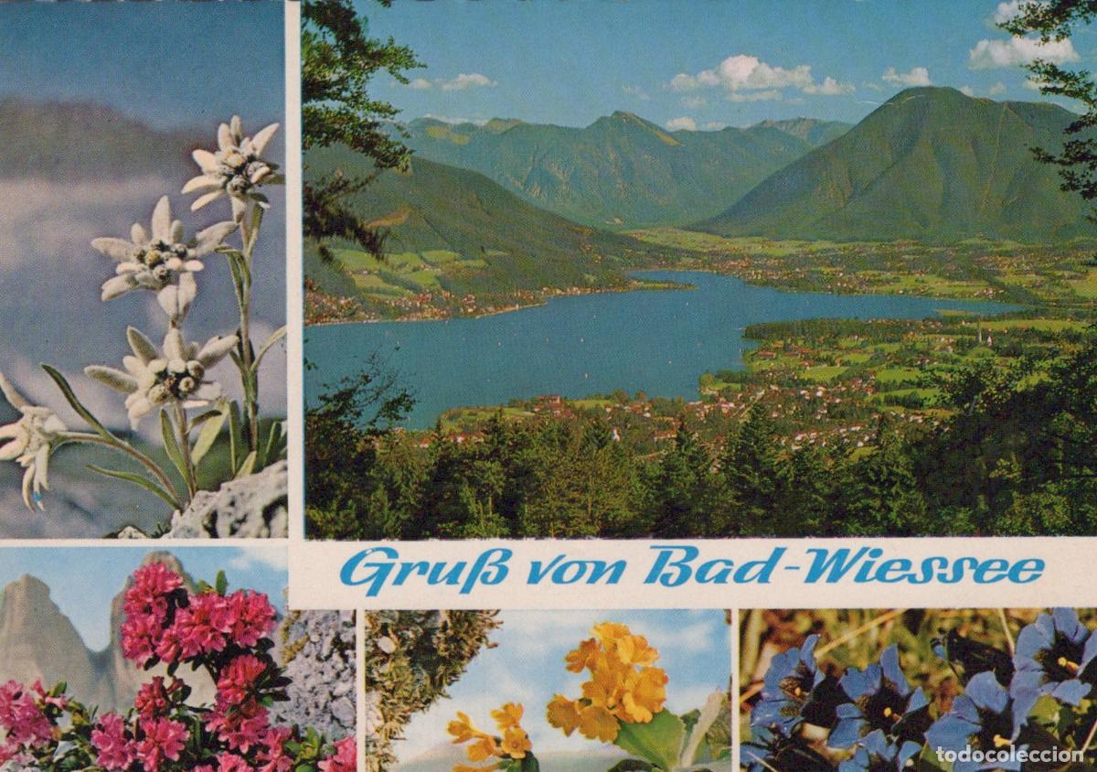 Cartoline: Germany Bad Wiessee Tegernsee Lake Bavarian Alps Edelweiss Unposted *YAZ824