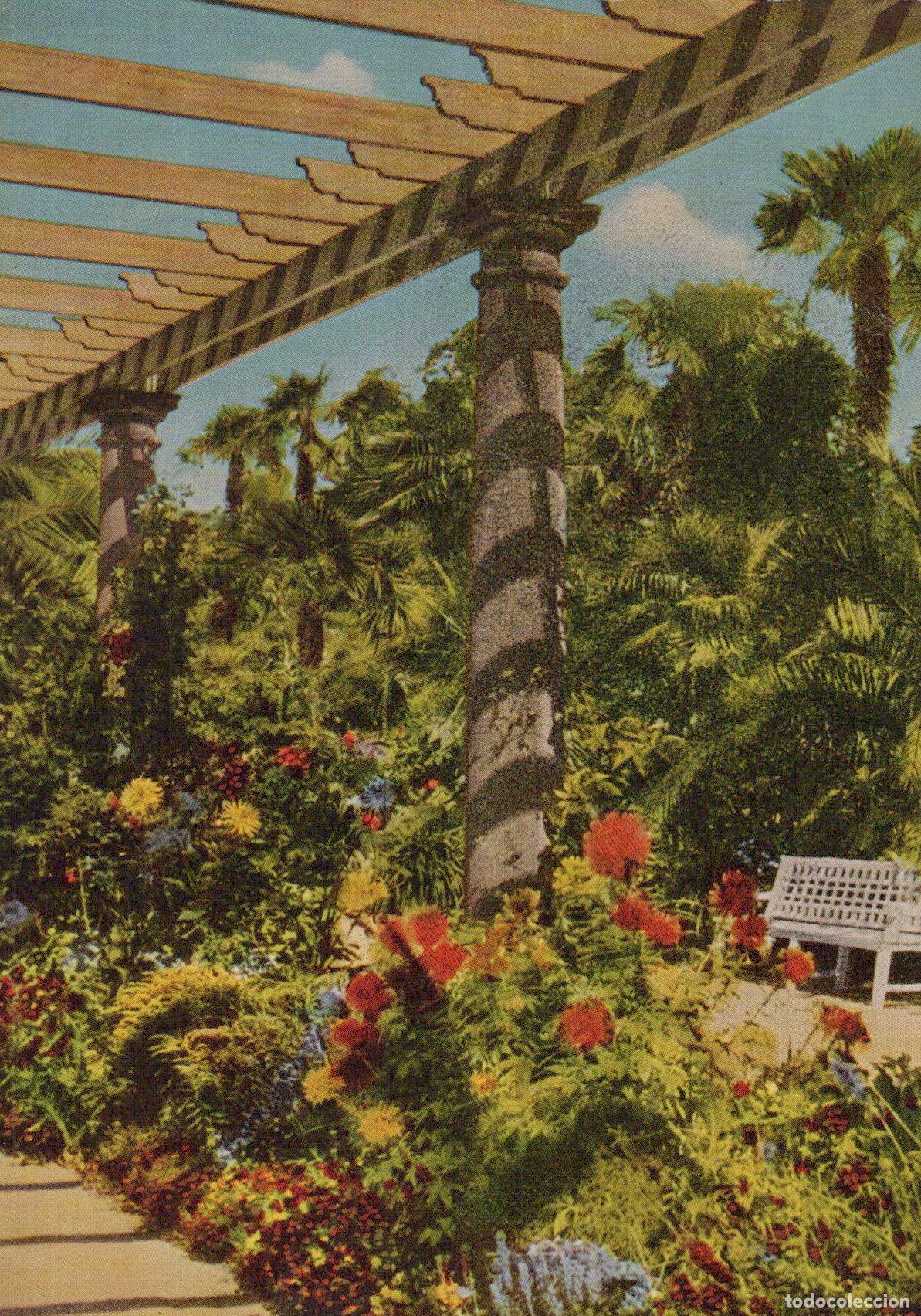 Cartoline: Germany Bad Pyrmont Palm Garden Pergola With Flowers and Palm Trees *YAZ691