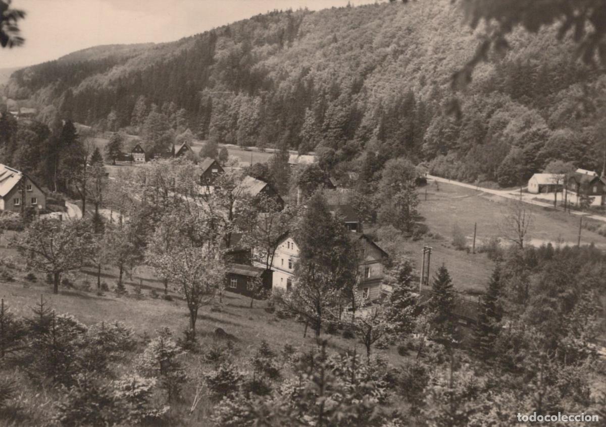 Cartes Postales: Germany Holzhau In Osterzgebirge Forested Landscape With Houses *YAZ334