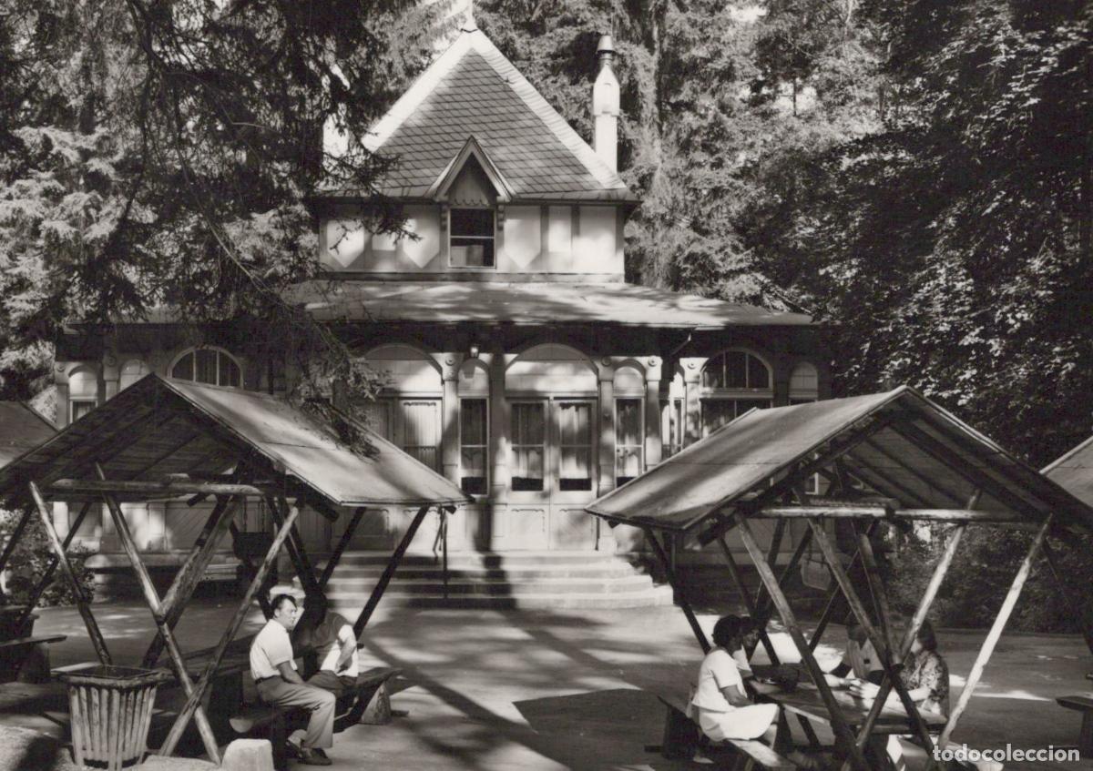Cartes Postales: Germany Bad Elster People Relaxing At Cafe in Park 1950s *YAZ346