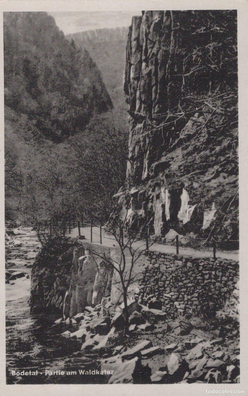 Cartes Postales: Germany Thale Bode Valley Part At the Wildcat *YAZ374