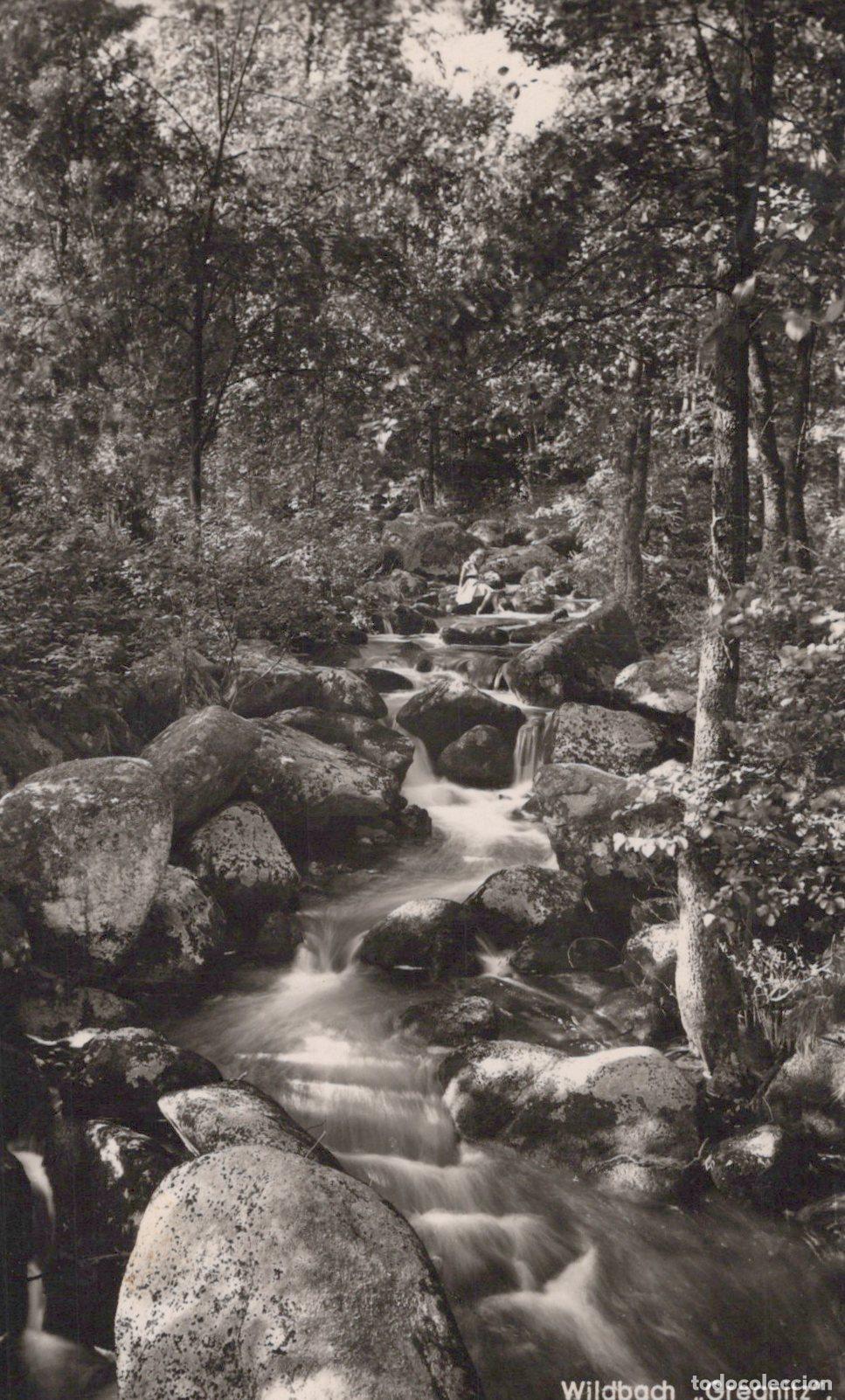 Cartes Postales: Germany Altenberg Wildbach Gresnitz Stream in Forest 1960s *YAZ391