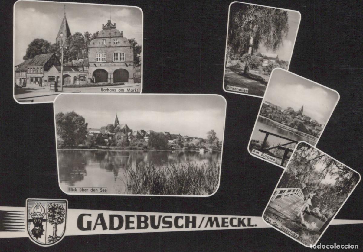 Postkarten: Germany Gadebusch Mecklenburg Multi View Rathaus Lake Bridge Birch Alley *YAZ311