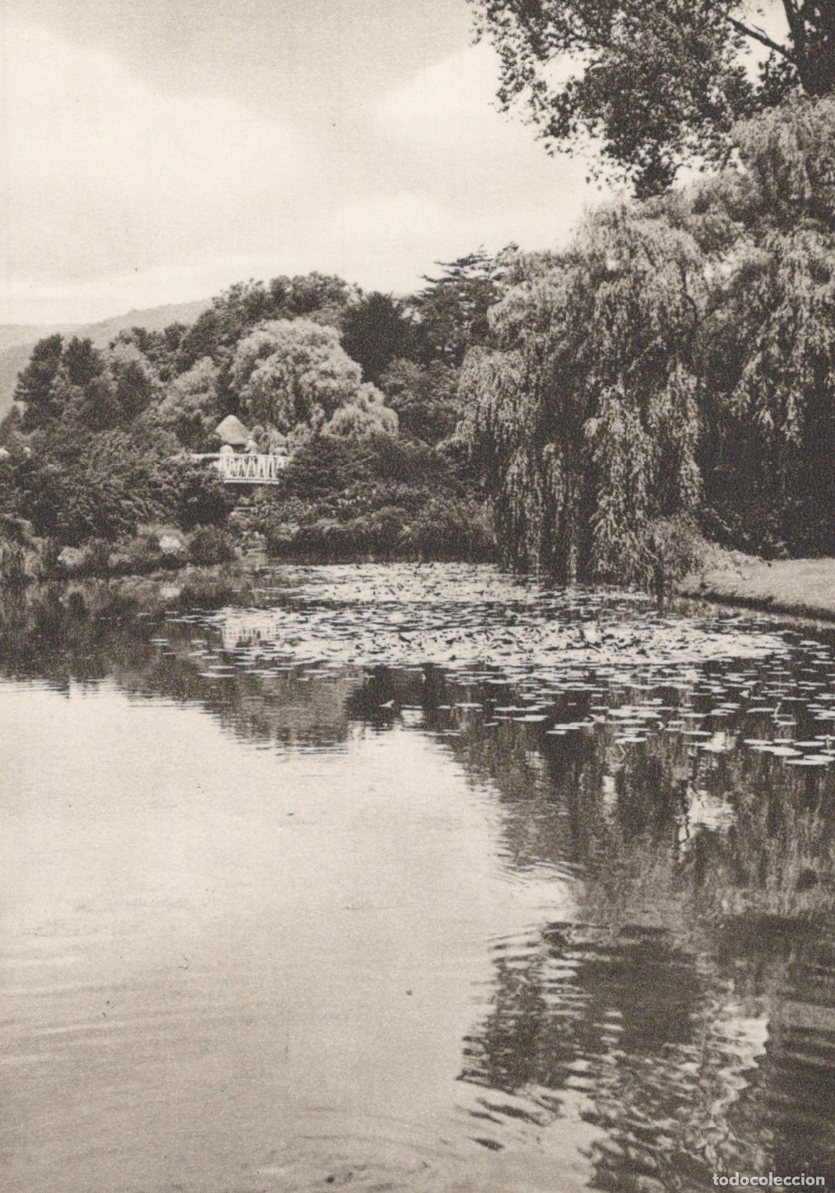 Postais: Germany Bad Pyrmont Picturesque Lake With Water Lilies and Distant House *YAZ471