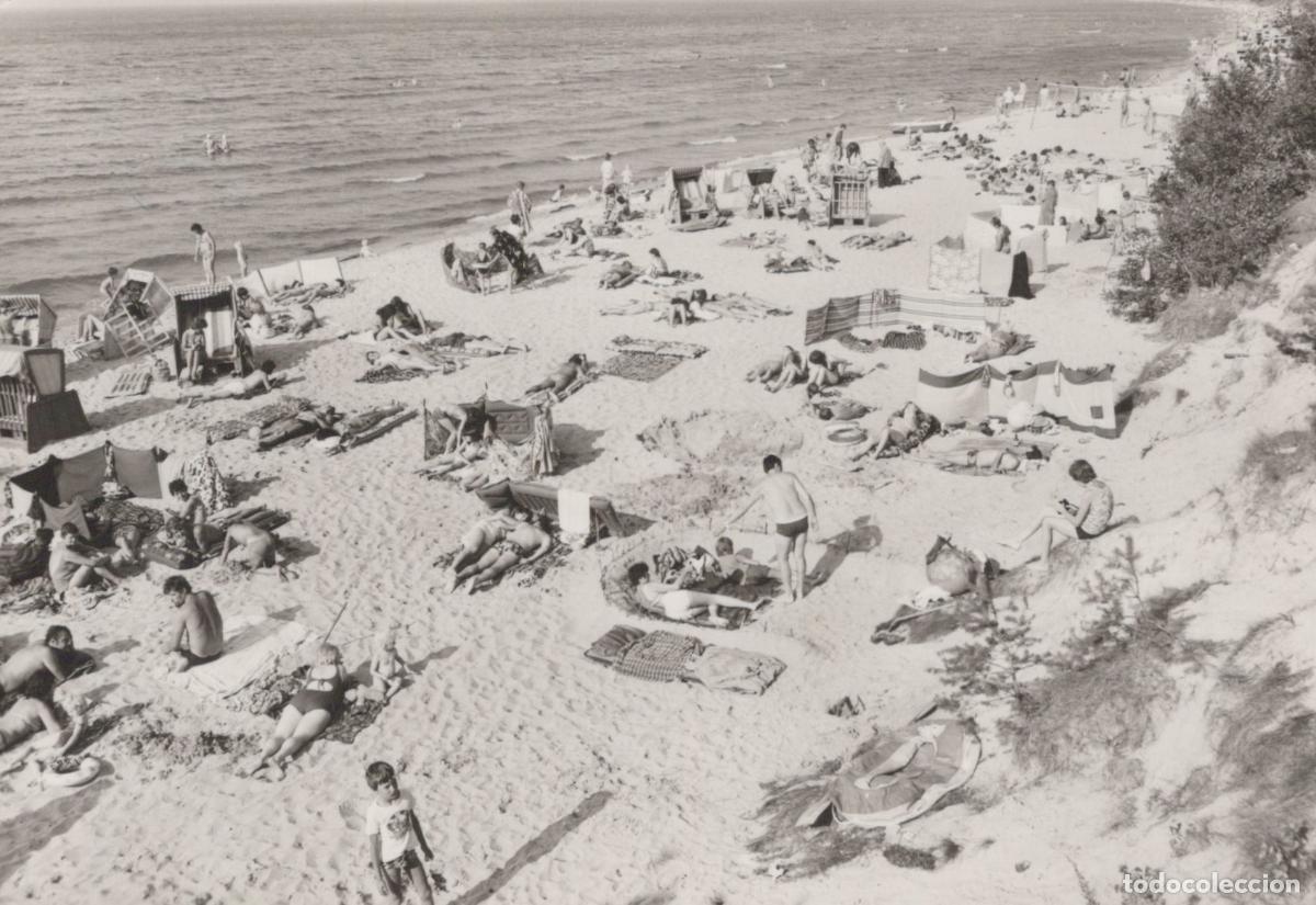 Postcards: Germany Lubmin Beach Greifswald Bay People Sunbathing and Swimming *YAZ365