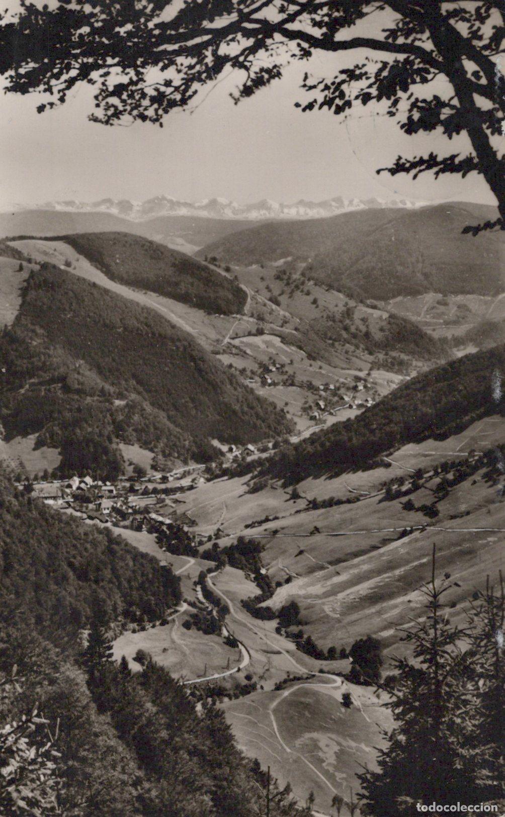 Postcards: Germany Hochschwarzwald Todtnauberg in the Black Forest With Real Photo *YAZ379
