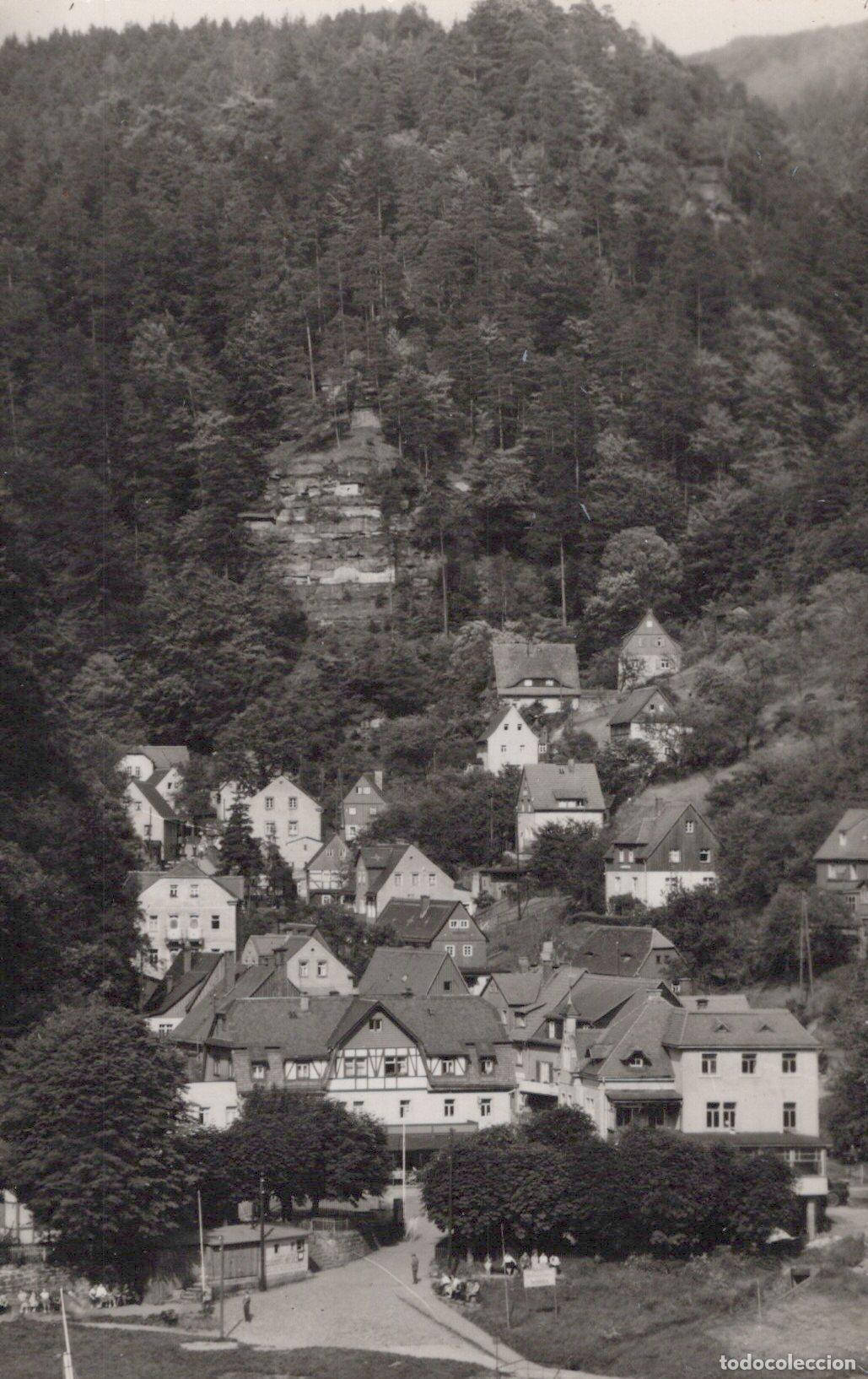 Postcards: Germany Schmilka Saxon Switzerland Village in Forested Valley *YAZ386