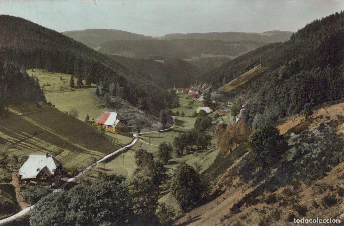Cartoline: Germany Nussbachtal Black Forest *YAZ499