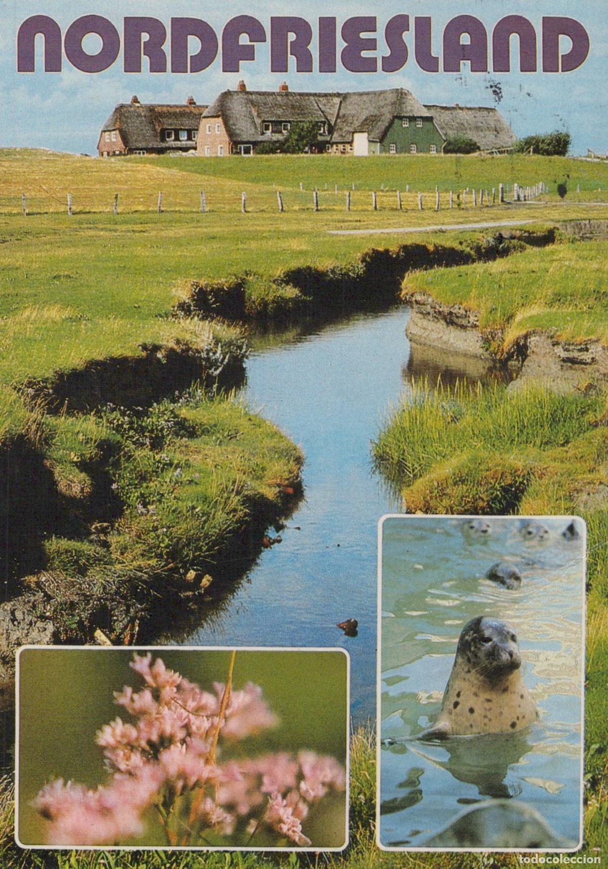 Postales: Germany Nordfriesland Thatched Roof Houses Stream Seal Flowers *YAZ609
