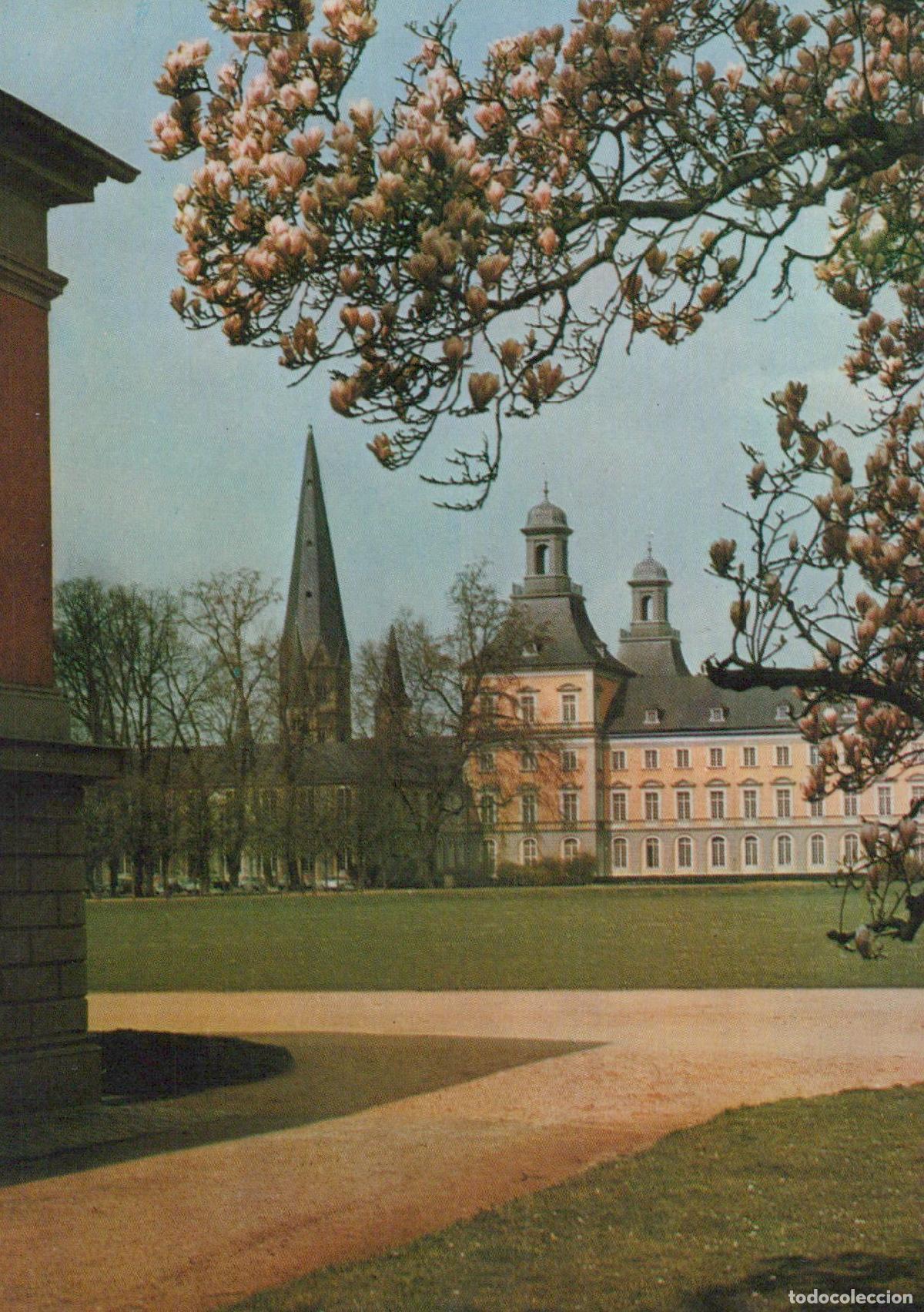 Cartoline: Germany Bonn Poppelsdorf Palace and Church With Magnolia Blossoms *YAZ628