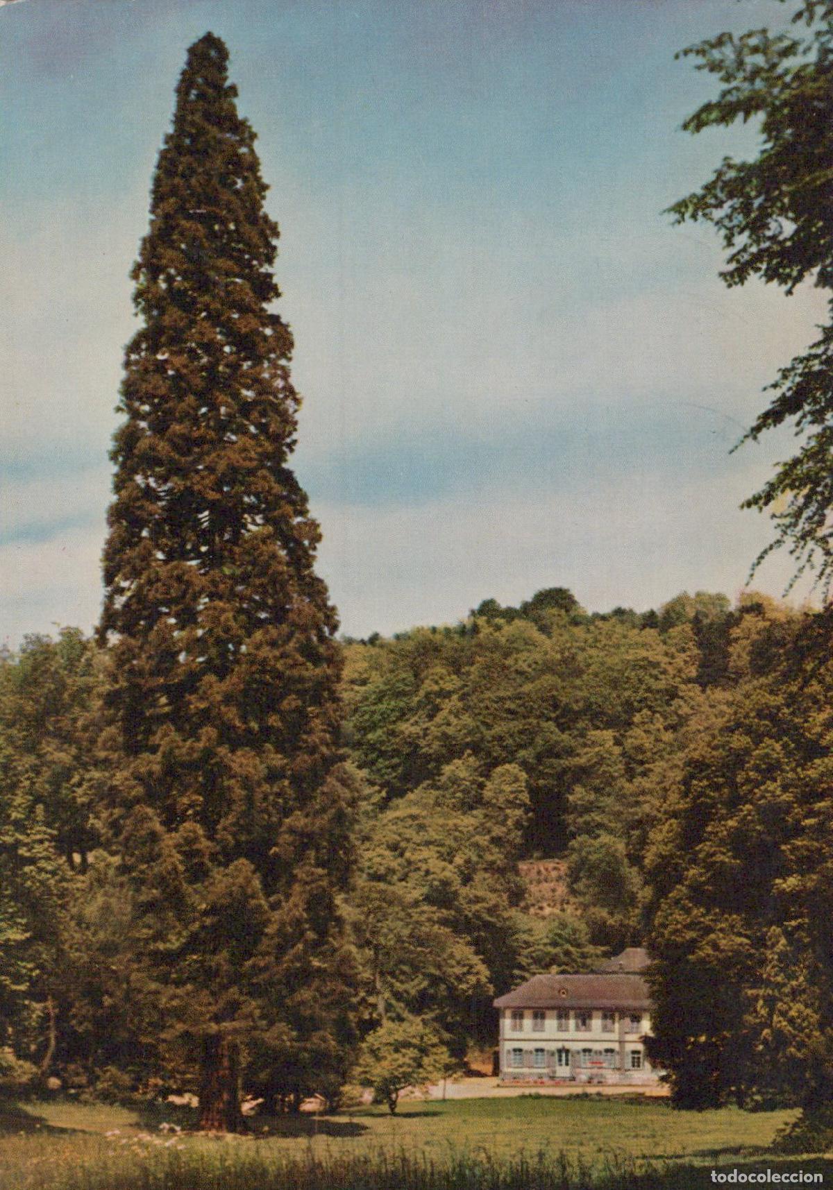 Postales: Germany Lorsch Bensheim Auerbach Bergstra&szlig;e Europe S Oldest and Tallest *YAZ637