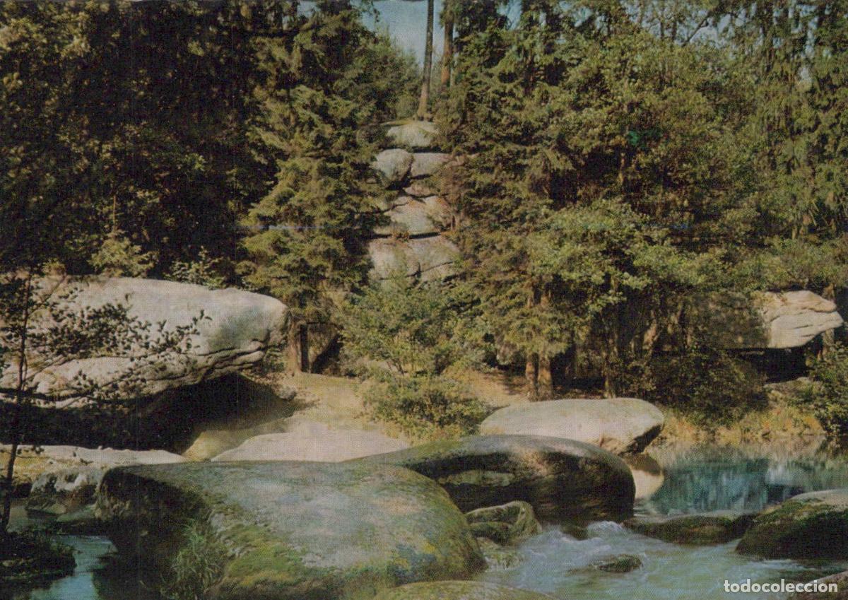 Postales: Germany Waldnaabtal Kammerwagen Forest Unposted *YAZ769