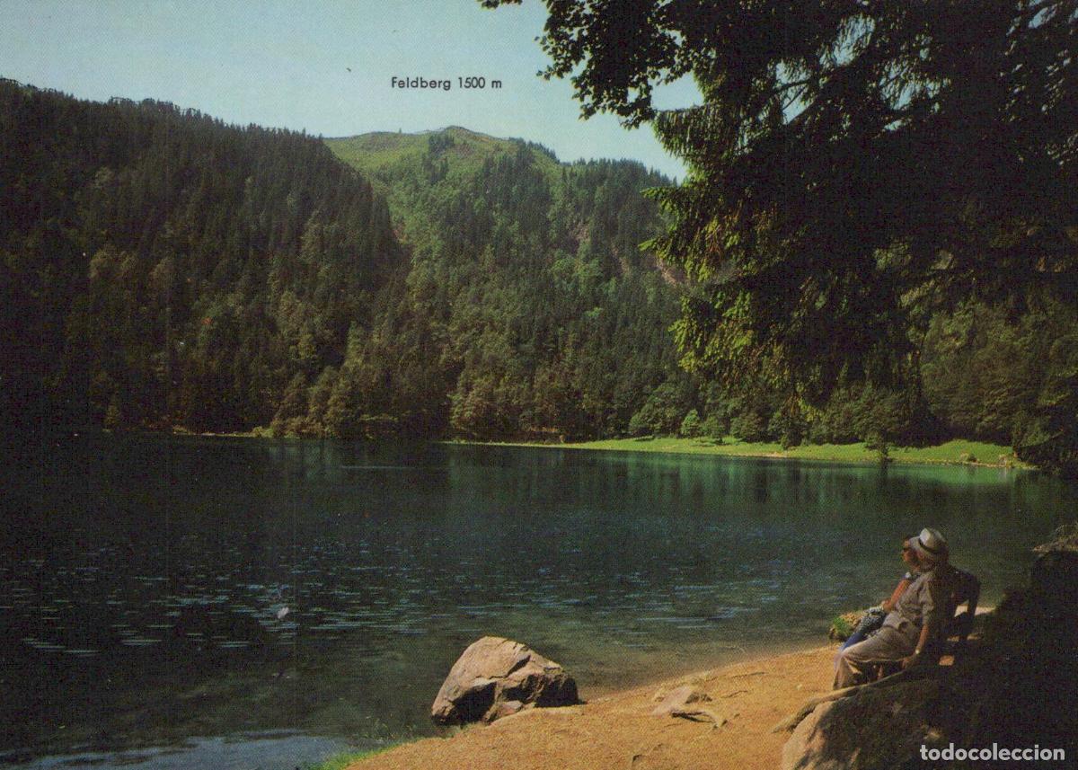Cartes Postales: Germany Feldberg Feldsee Lake Black Forest Gletscherssee Unposted *YAZ809