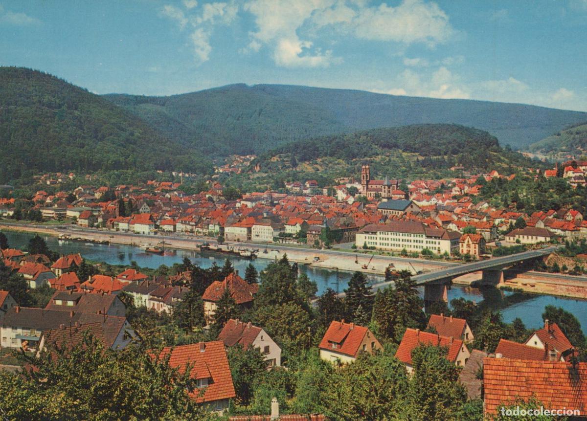 Cartoline: Germany Eberbach Am Neckar Panoramic View of Town River Unposted *YAZ813