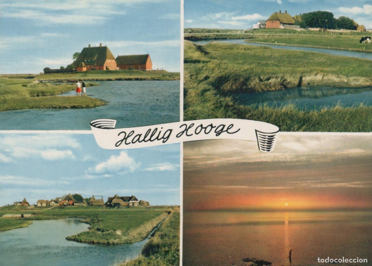 Postales: Germany Ahrensburg Hallig Hooge Coastal Landscape Thatched Roof Unposted *YAZ878