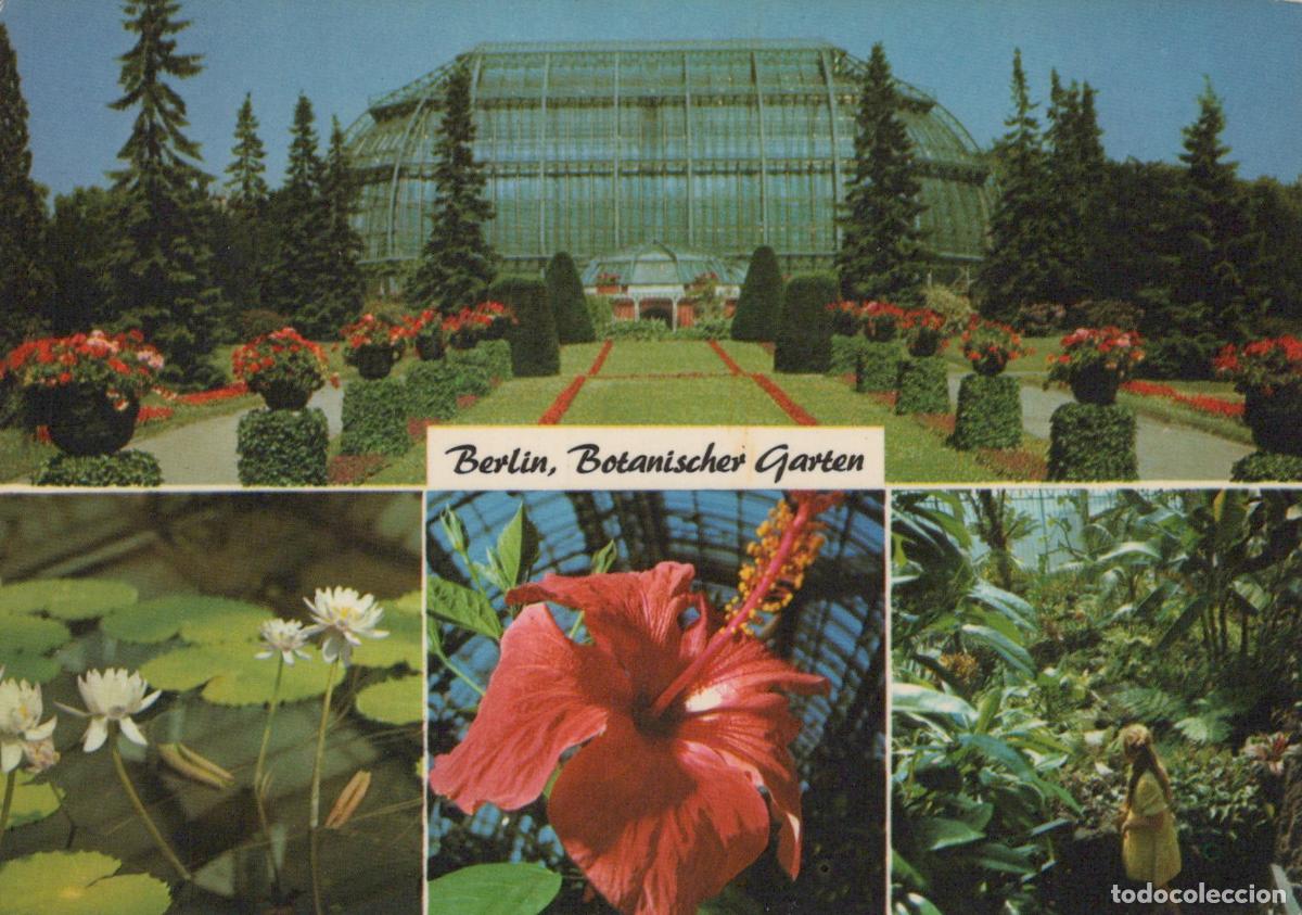 Cartes Postales: Germany Berlin Wall Botanical Garden Greenhouse Flowers Water Unposted *YAZ931