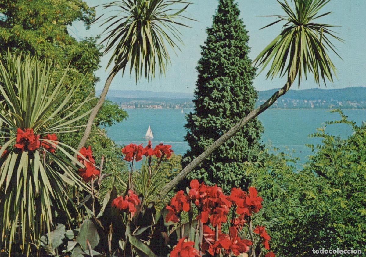 Postais: Germany Aalen Mainau Island Lake Constance Tropical Garden Red Flowers *YBA127