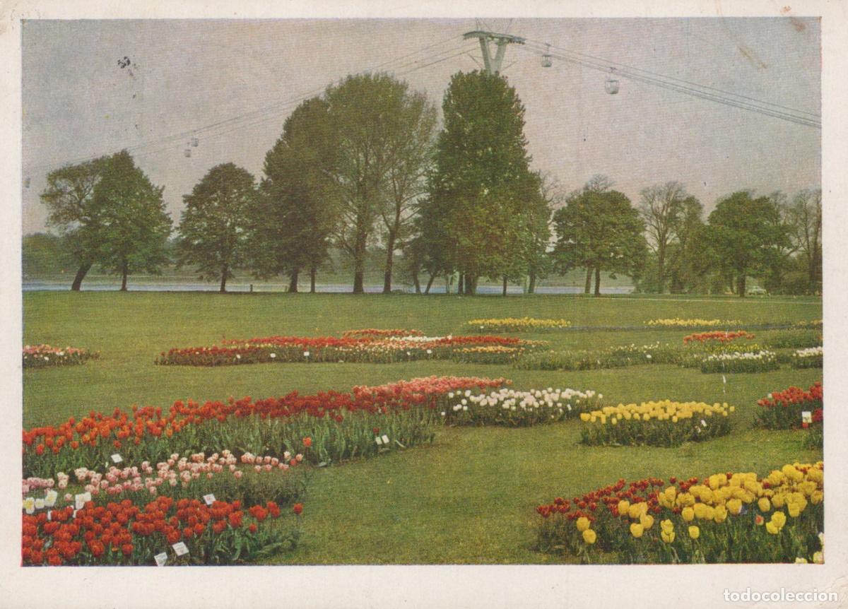 Cartes Postales: Germany Koeln Cologne Bundesgartenschau 1957 Tulip Assortment With View *YBA029