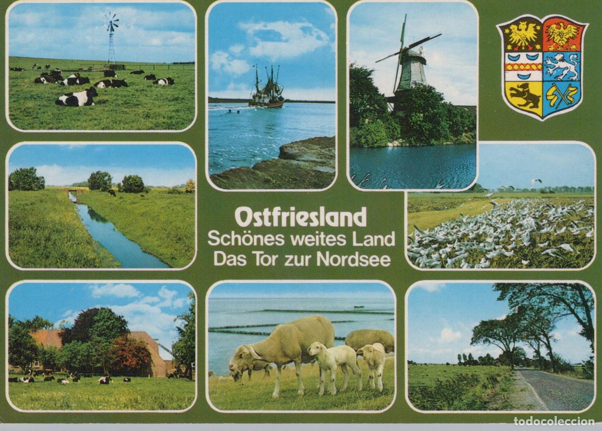 Postcards: Germany Alfeld Ostfriesland Beautiful Wide Land the Gate To the North *YBA165