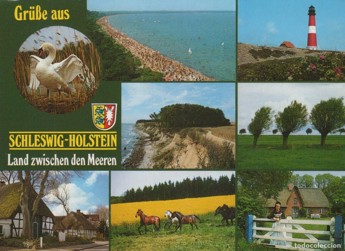 Cartes Postales: Germany Schleswig Holstein Multi View Swan Beach Lighthouse Horses *YBA214