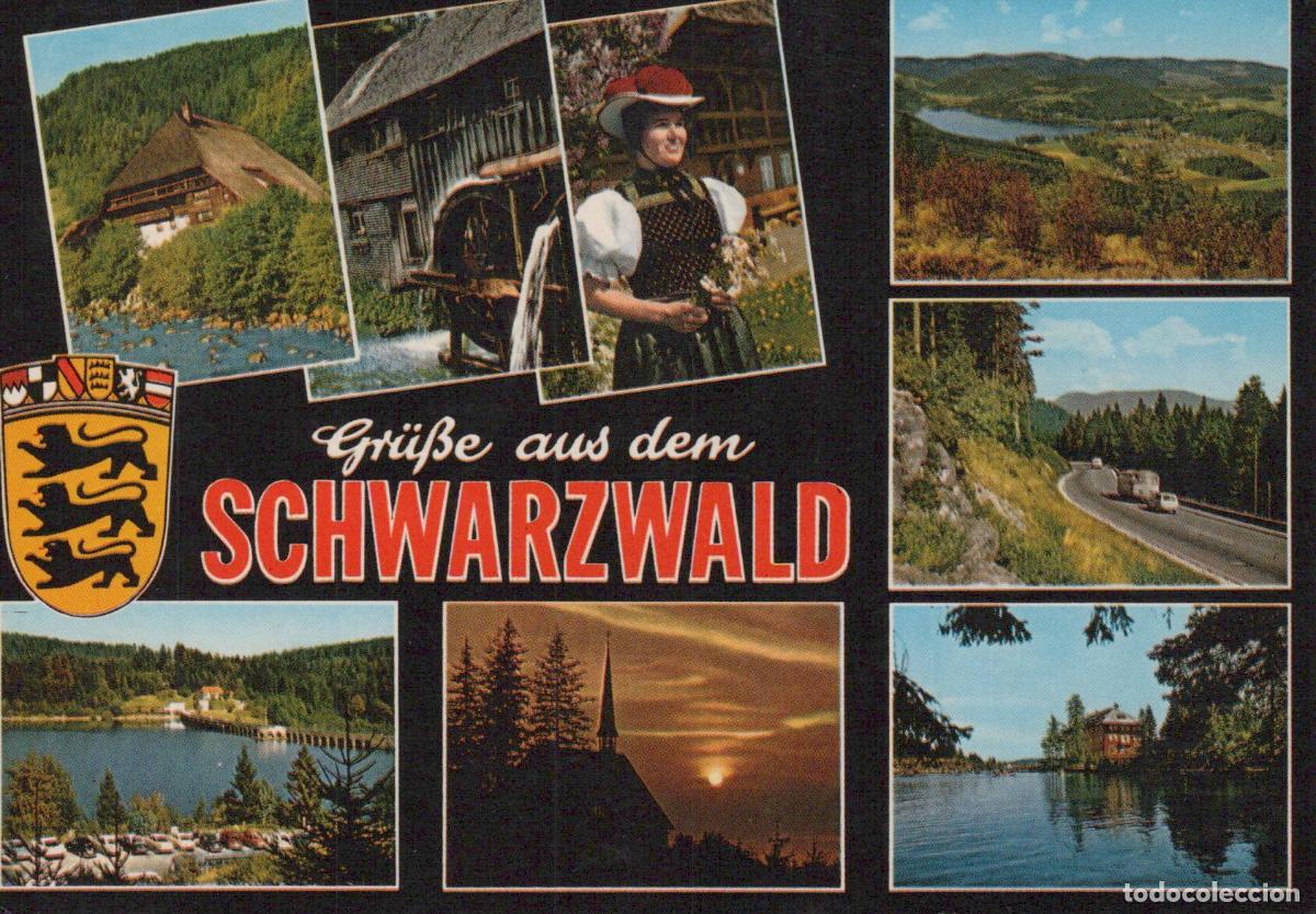 Postkarten: Germany Hausach Black Forest Collage With Traditional Dress and *YBA264