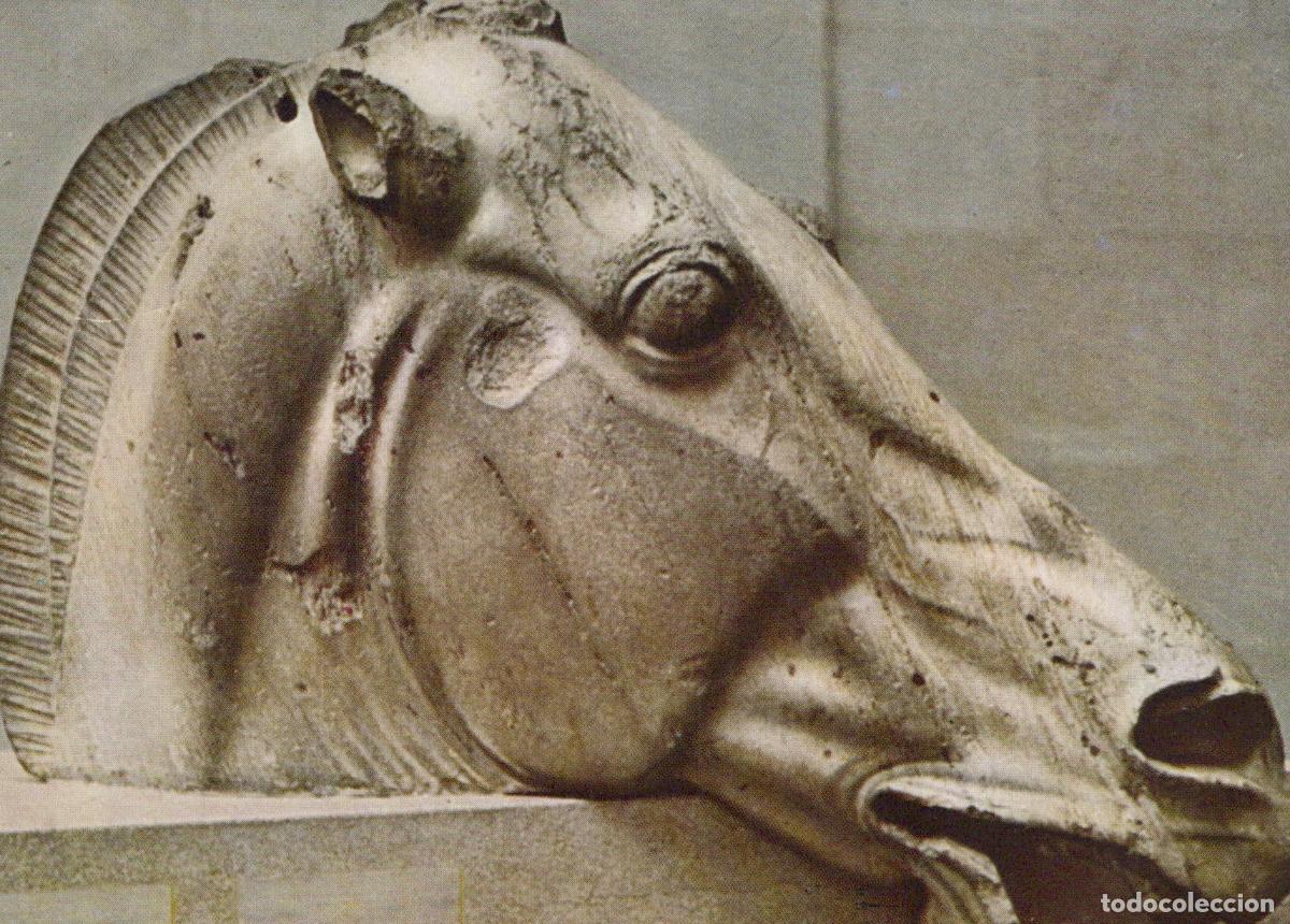 Postkarten: United Kingdom London British Museum Parthenon Sculpture Horse Unposted *YBA321