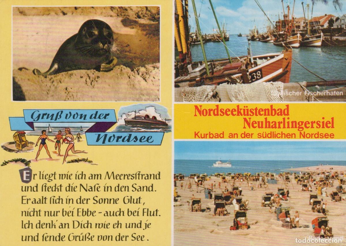 Cartes Postales: Germany Alfeld Neuharlingersiel North Sea Coast Fishing Harbor Beach *YBA102