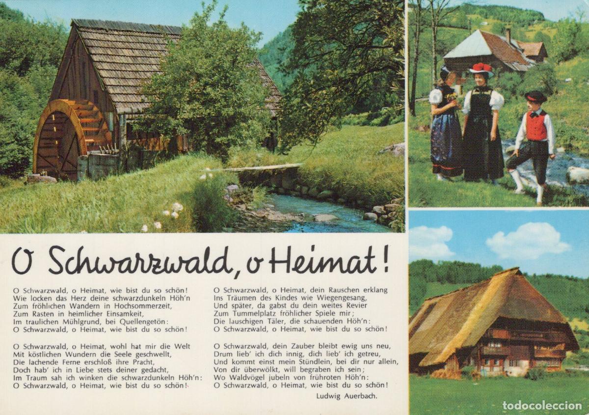 Cartoline: Germany Hausach Black Forest MILL Traditional Costumes and Thatched Roof *YBA301