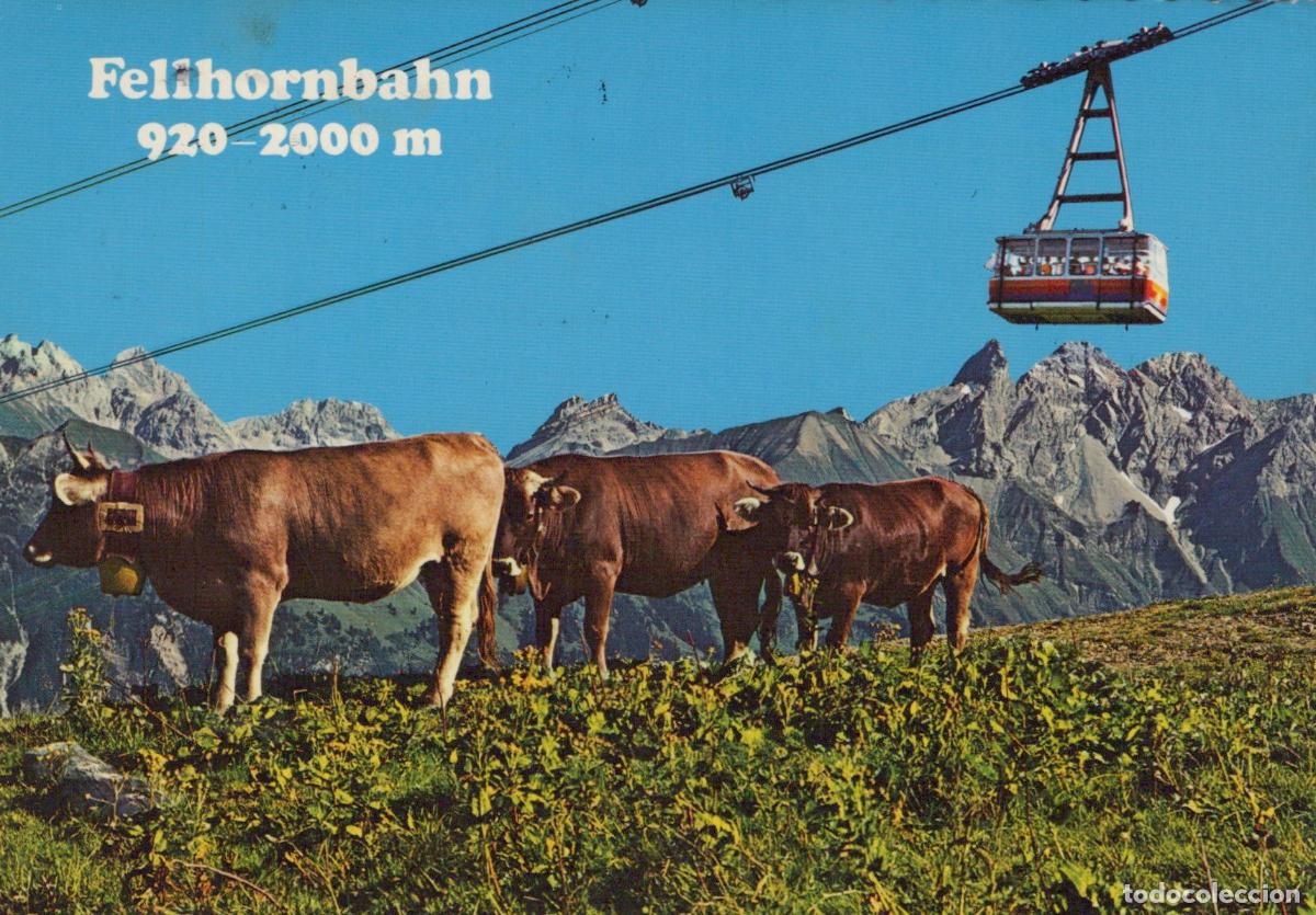 Cartoline: Germany Oberstdorf Fellhornbahn Cable Car With Cows in Allg&auml;u Alps *YBA186