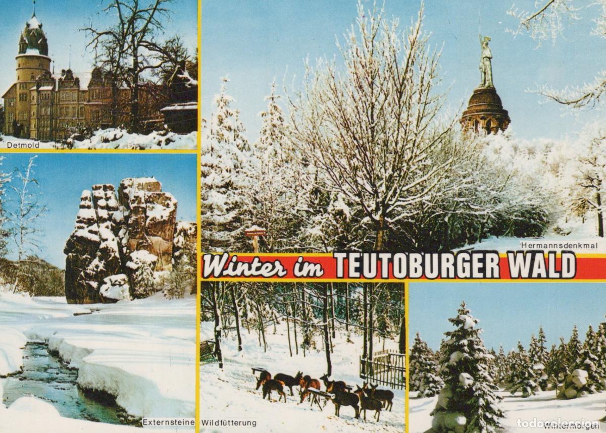 Cartoline: Germany Detmold Winter in Teutoburg Forest Hermannsdenkmal Externsteine *YBA535