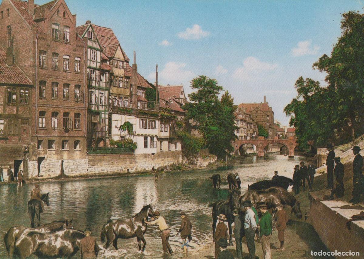 Cartes Postales: Germany Hannover Alt Pferdeschwemme am Hohen Ufer Horses in River *YBA245