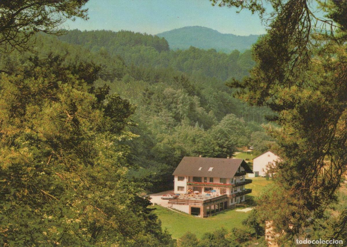 Cartes Postales: Germany Hotel Pension Haus Hubertus in Weigendorf Opf Surrounded By *YBA565