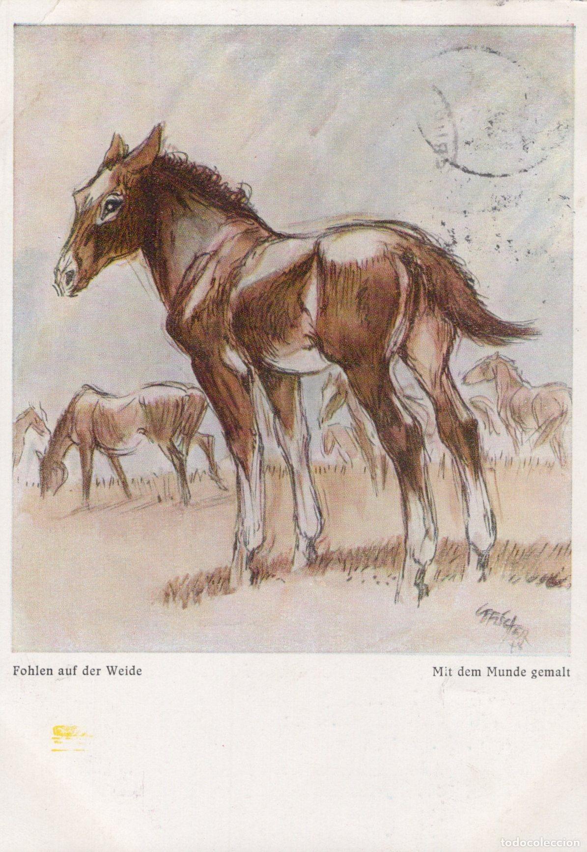 Postais: Germany Karlsruhe Durlach Foals in Pasture Mouth Painted Art *YBA480