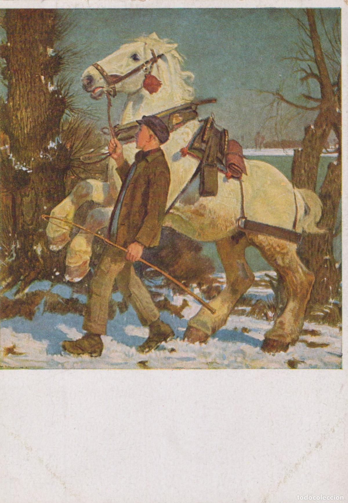 Postales: Germany Starnberg Man Leading A White Horse in A Snowy Unposted *YBA517