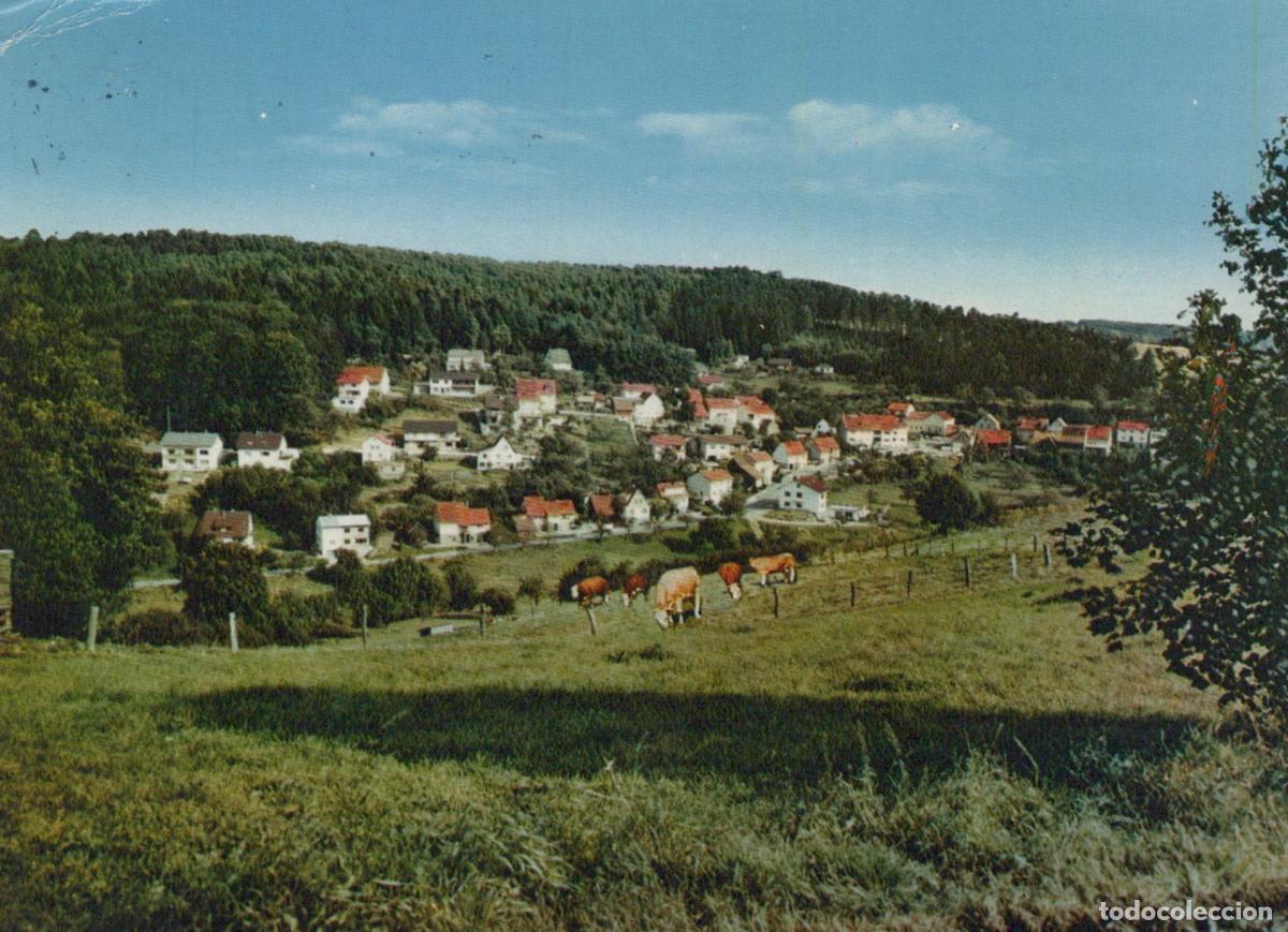 Postales: Germany Heppenheim Tor zum Odenwald With Cows Grazing in A Field *YBA967
