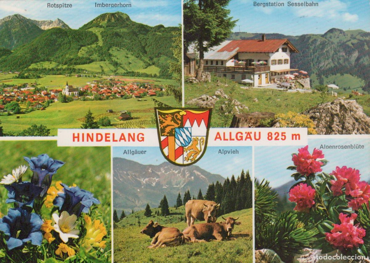 Postais: Germany Hindelang Allg&auml;u Mountain Village Alpine Flowers Cows Cable Car *YBA733