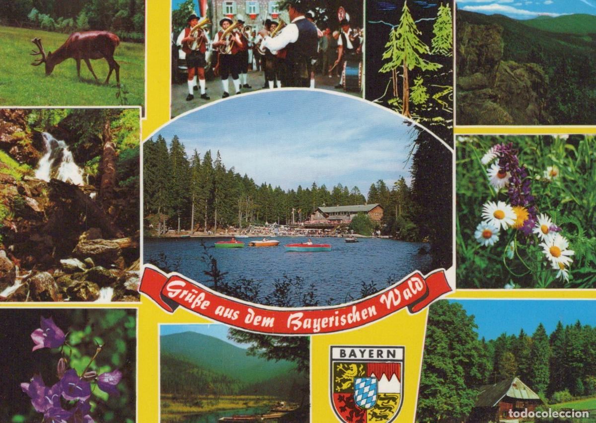 Postais: Germany Bavarian Forest Collage Arbersee Lake Deer Waterfall Flowers *YBA796