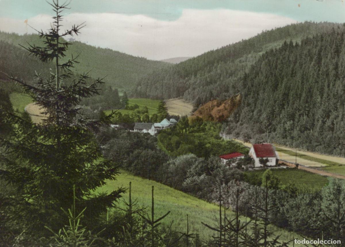 Postales: Germany Rothenkirchen in Frankenwald Part of Waldschwimmbad Forest *YBA749
