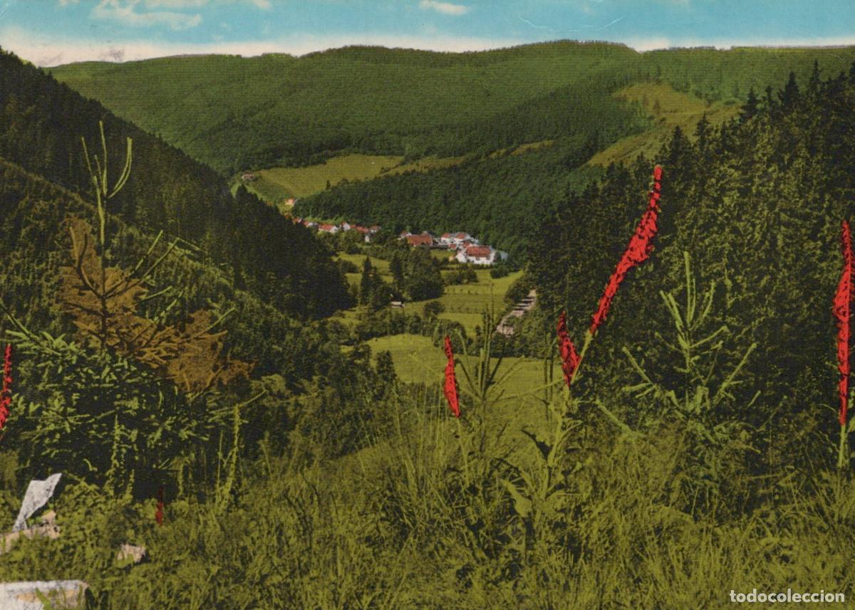 Postales: Germany Herzberg Sieber IM Harz View From K&ouml;nigs Berg Siebertal Valley *YBA634