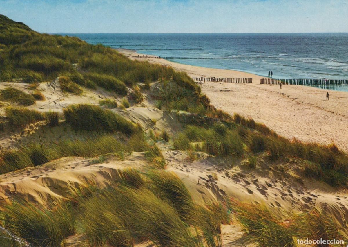 Cartes Postales: Germany Sylt Island Dunes and Beach Landscape North Sea Coast *YBA642