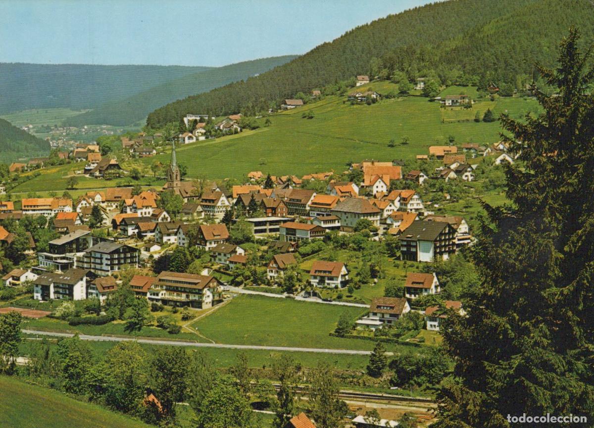 Postkarten: Germany Baiersbronn In Black Forest Panoramic View of Village *YBA891