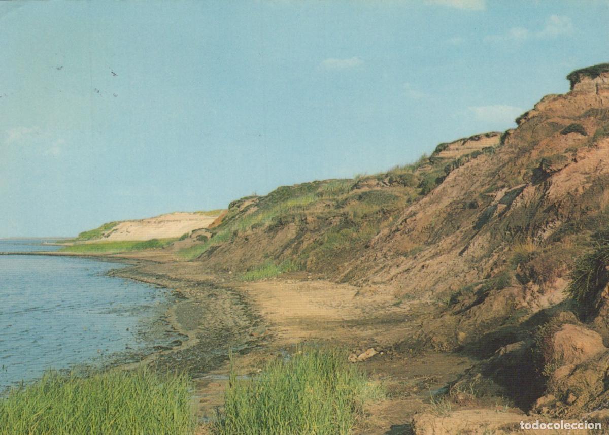 Cartoline: Germany Sylt Rote Kliff At Wattenmeer Island Coastal Landscape *YBA641