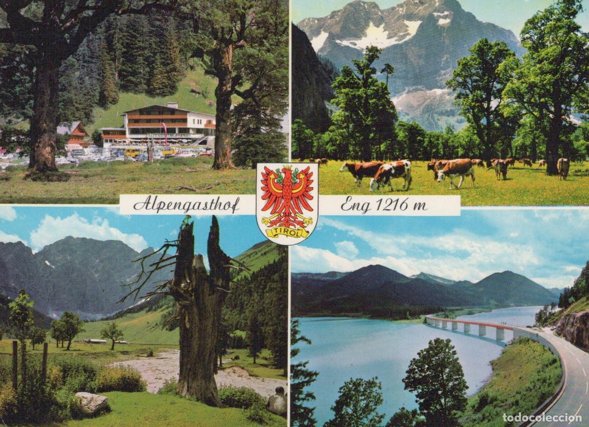 Cartes Postales: Austria Achenseeorte Alpengasthof Eng Tyrol Mountain Landscape Lake Cows *YBA966